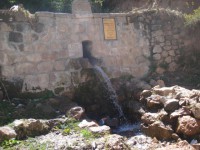 /album/fotogaleria/huchuy-phaqcha-jpg/